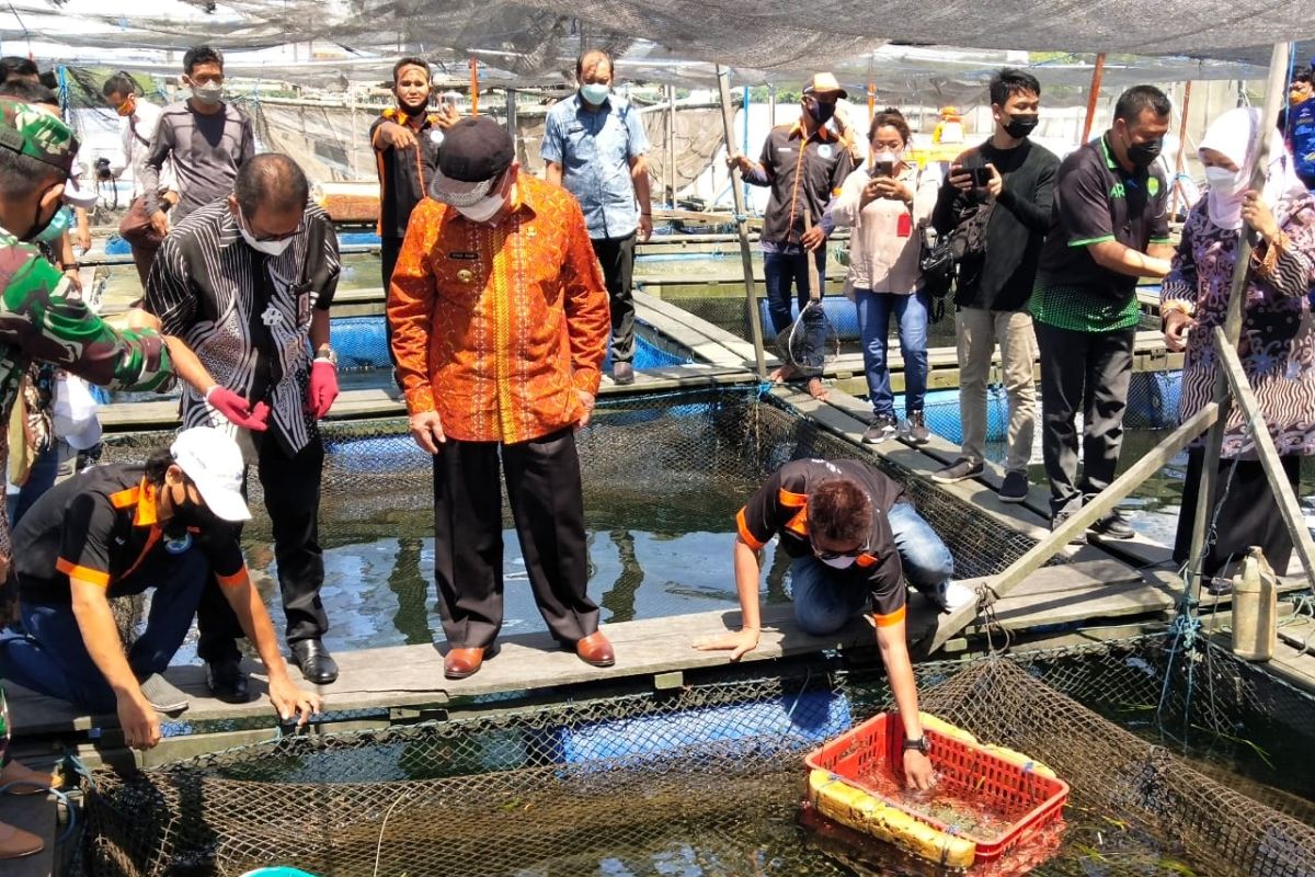 Gubernur Kaltim nilai Kota Bontang berpotensi swasembada ikan