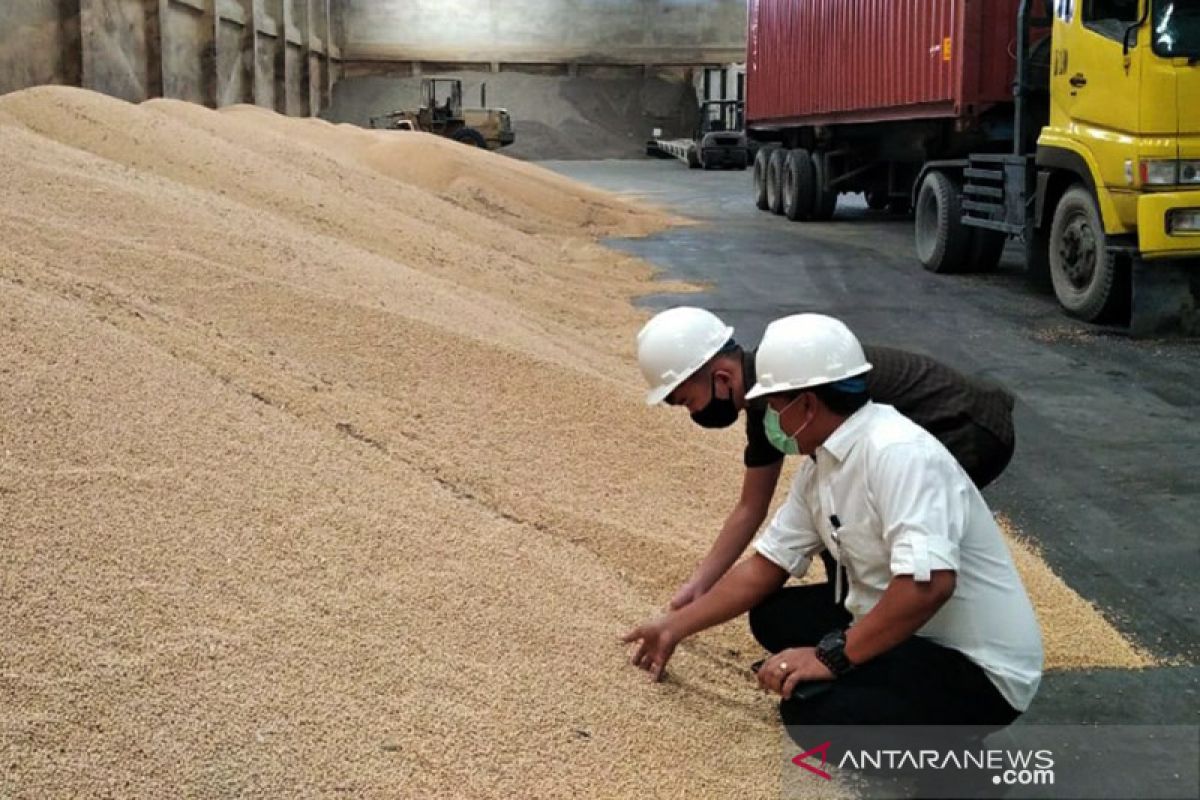 Sumut kekurangan kedelai  174.825 ton