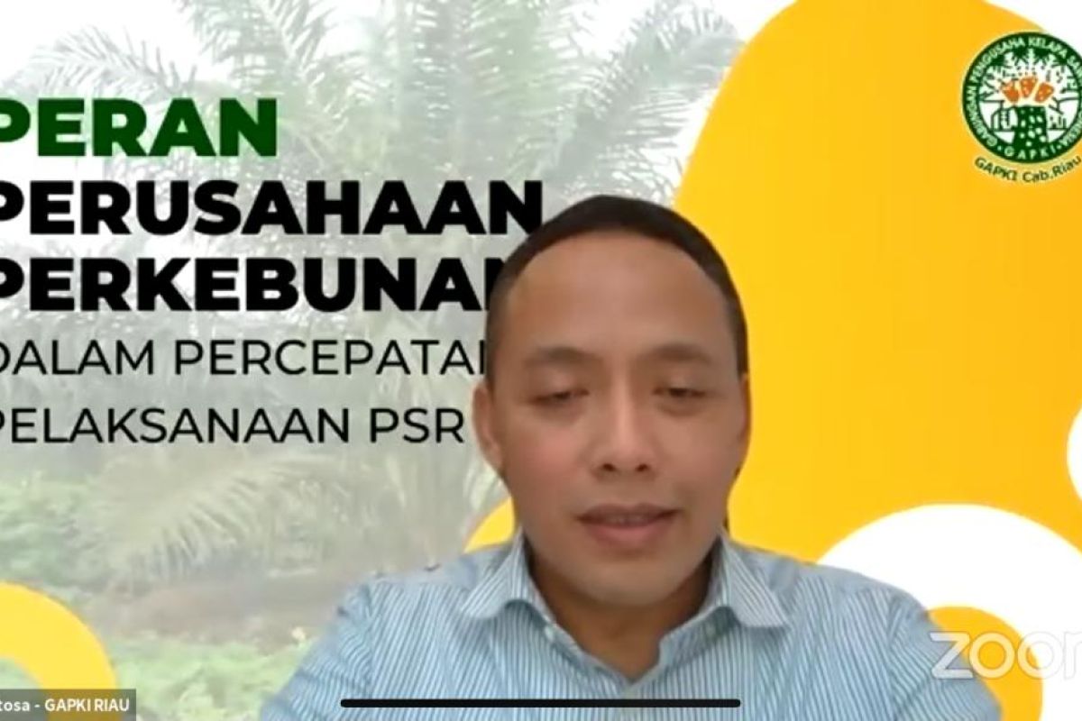 Pemerintah Gandeng Gapki Riau Akselerasi PSR