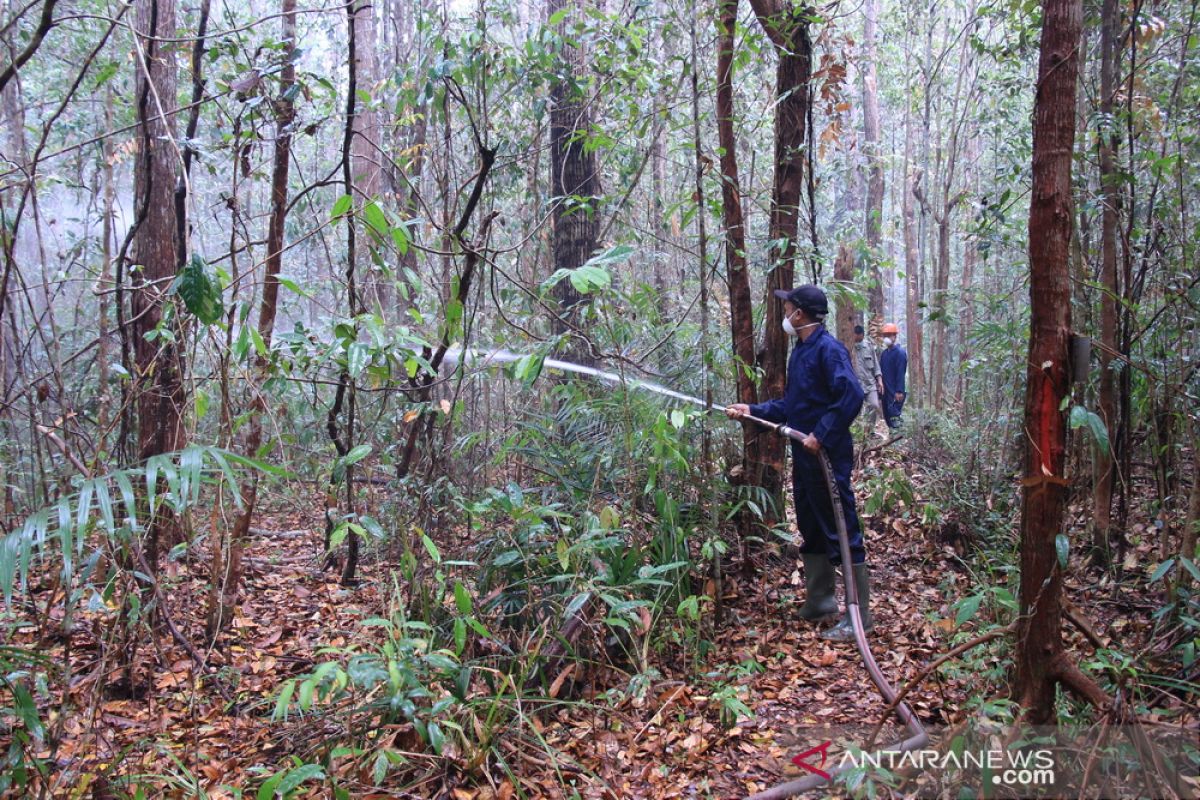 Pemkot Palangka Raya segera kembangkan hutan kota jadi ekowisata