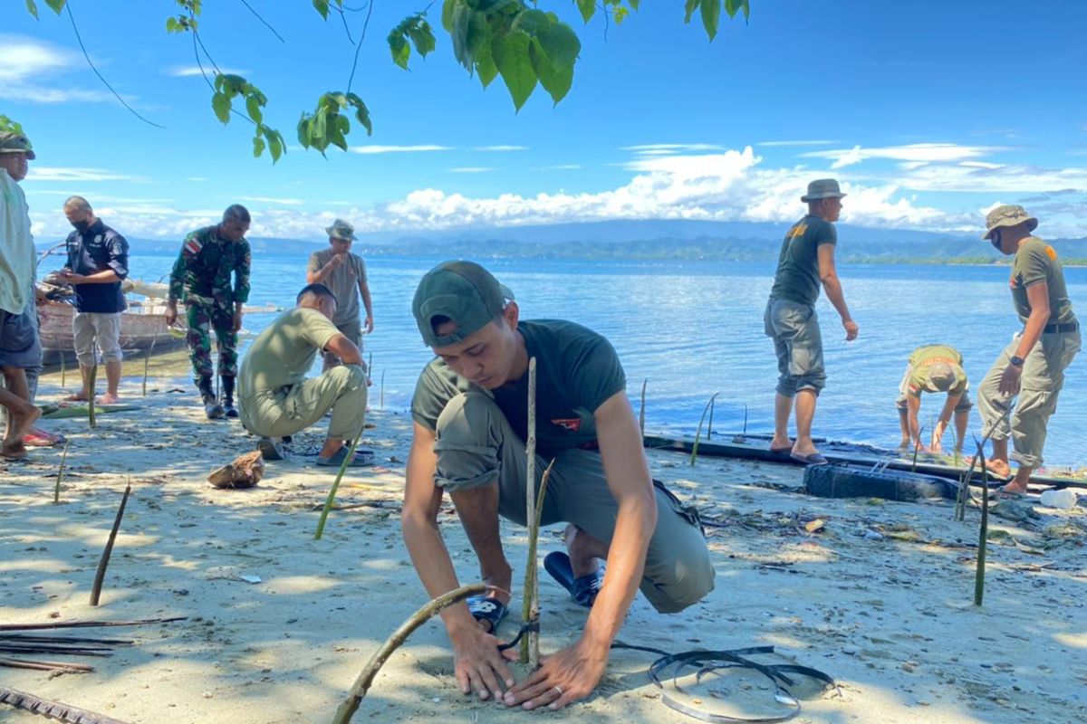 Satgas Madago Raya  tanam 1000 pohon bakau di pesisir laut Poso