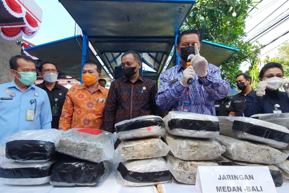 BNNP Bali musnahkan 48 kg ganja