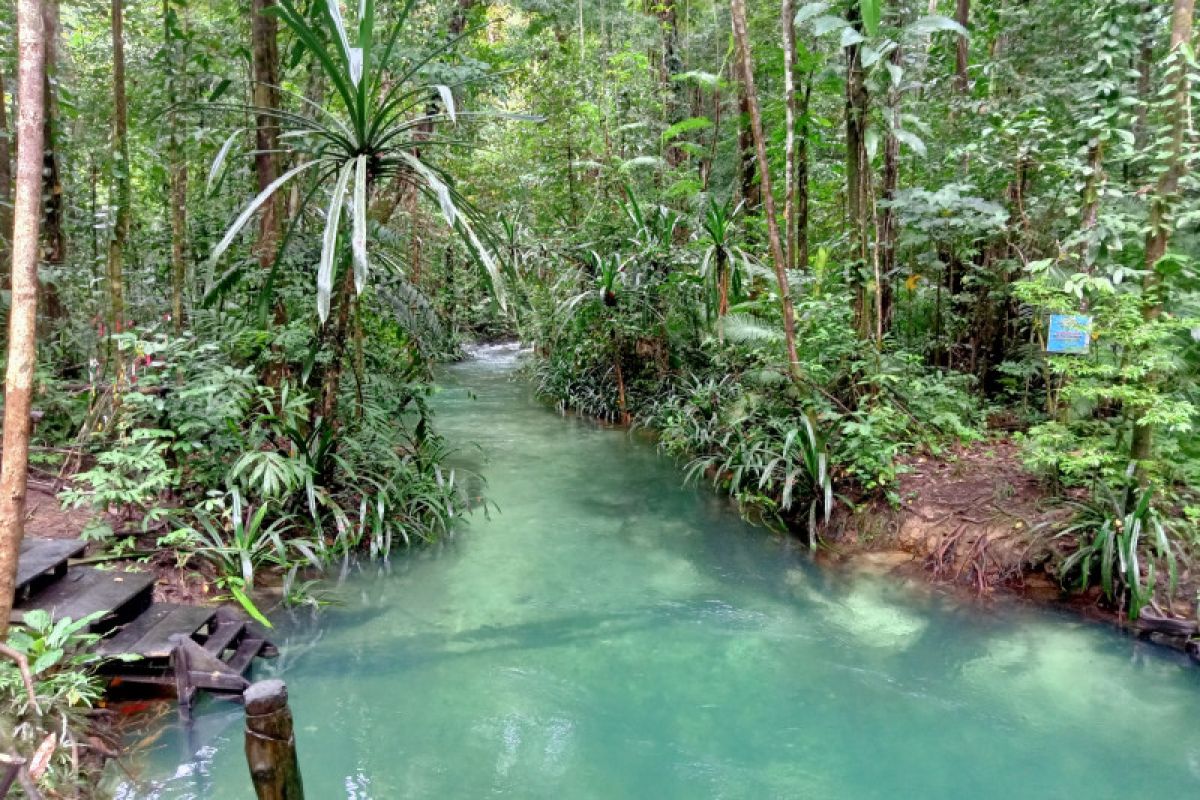 Wapres: Ayo berwisata ke Raja Ampat