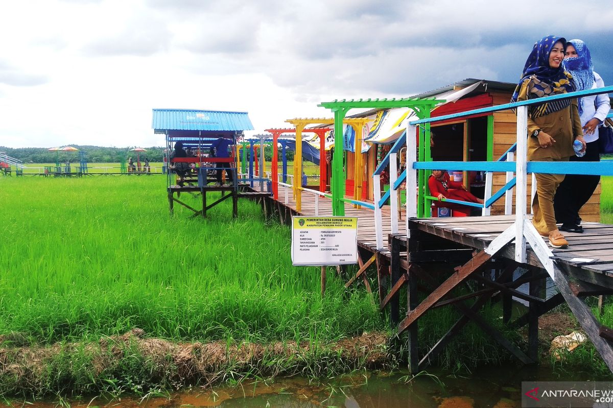 Pembangunan wisata sawah di Penajam gunakan Dana Desa