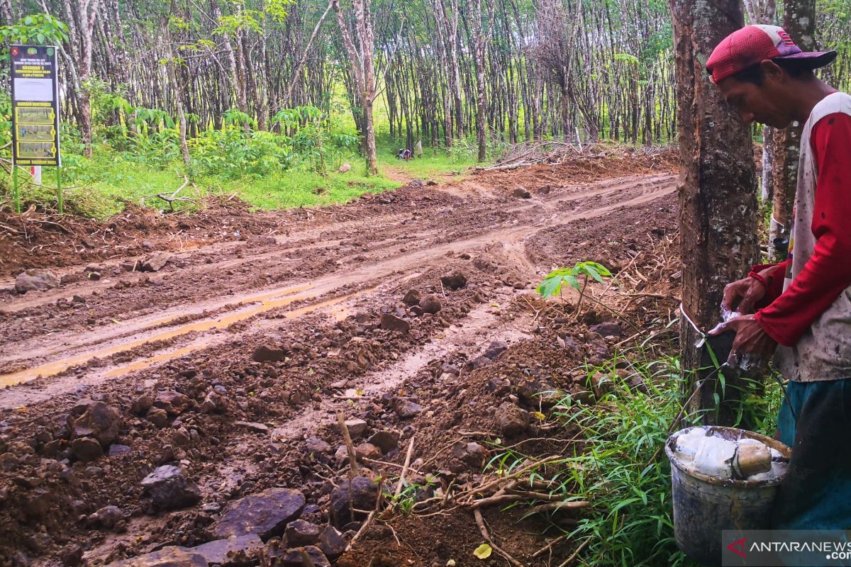 TMMD's 3.1 kilometers road solves problems of rubber farmers
