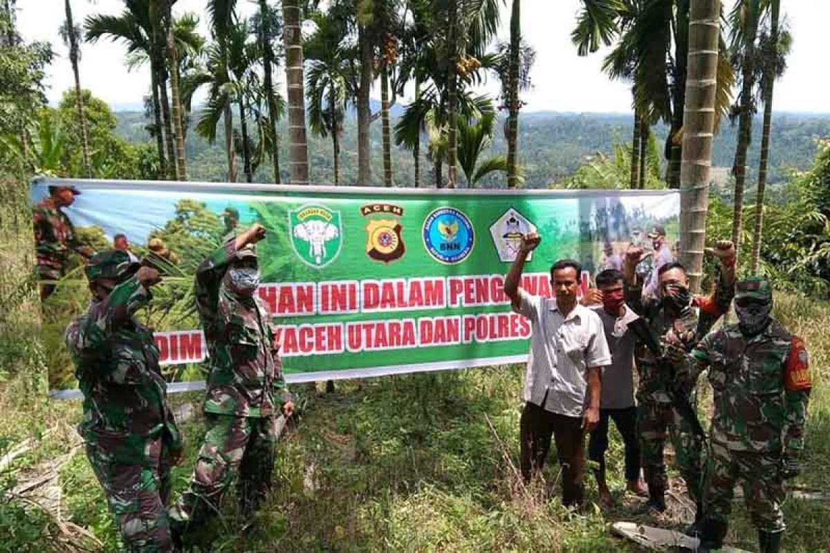 22 hektare eks ladang ganja akan dimanfaatkan untuk tanaman pangan