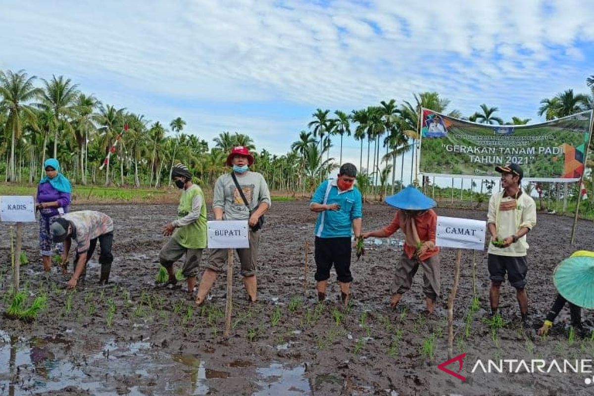 Kubu Raya ciptakan pasar sistemik beras lokal