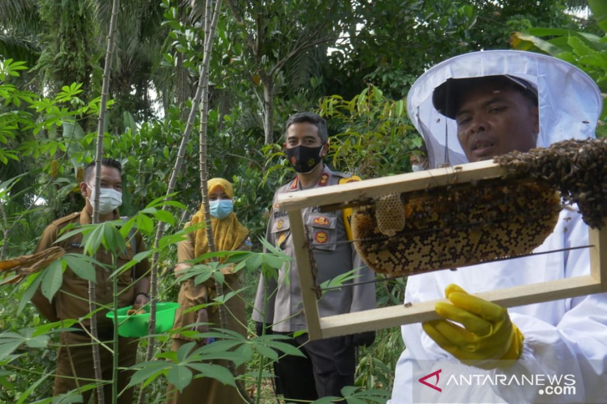 Polres Merangin  bina warga mantan pelaku PETI pelihara lebah