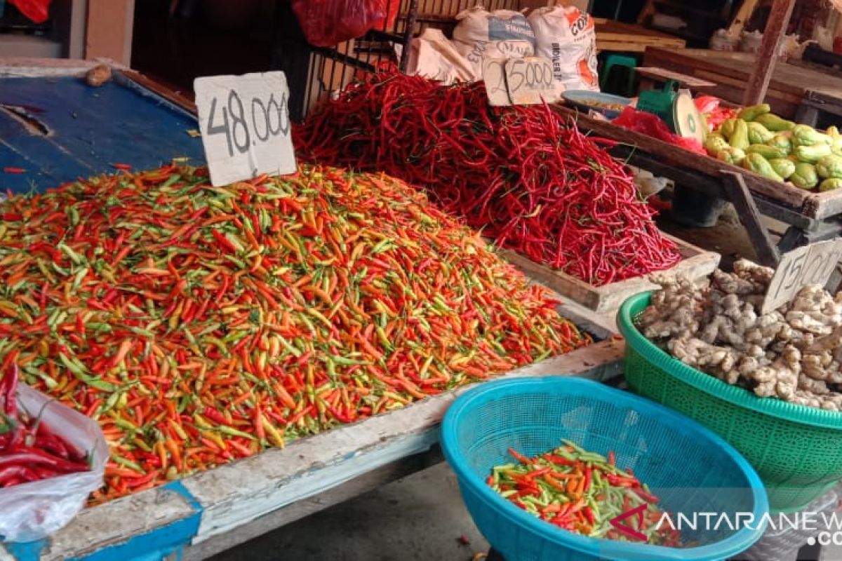 Harga cabai di pasar tradisional Makassar terus bergerak naik