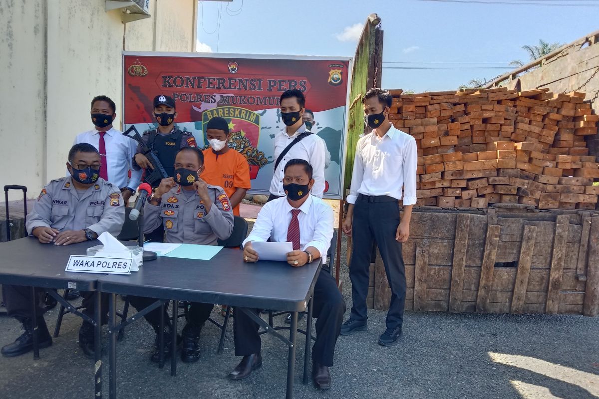 Polisi Mukomuko cari keberadaan cukong kayu ilegal