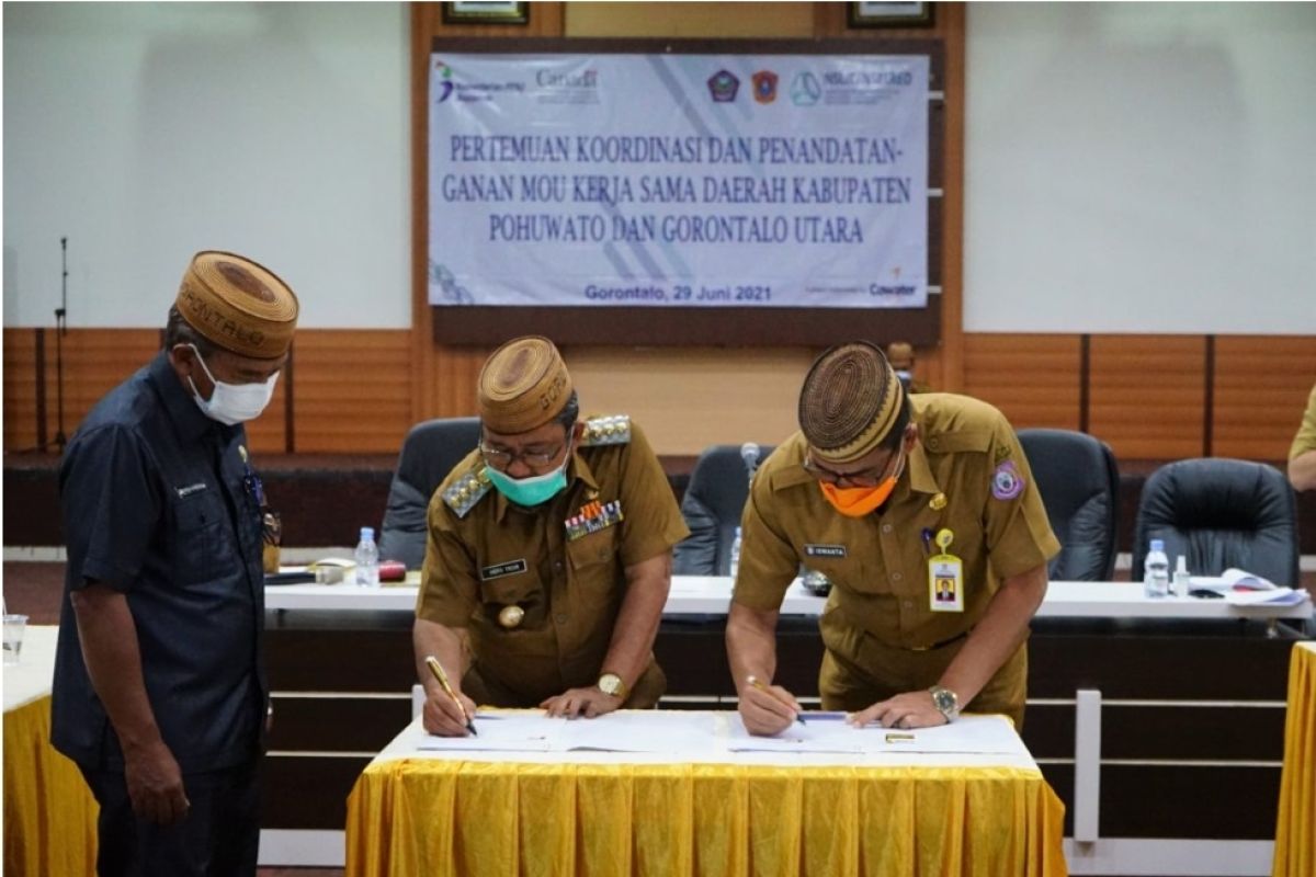 Pohuwato dan Gorontalo Utara kerja sama perdagangan sapi potong