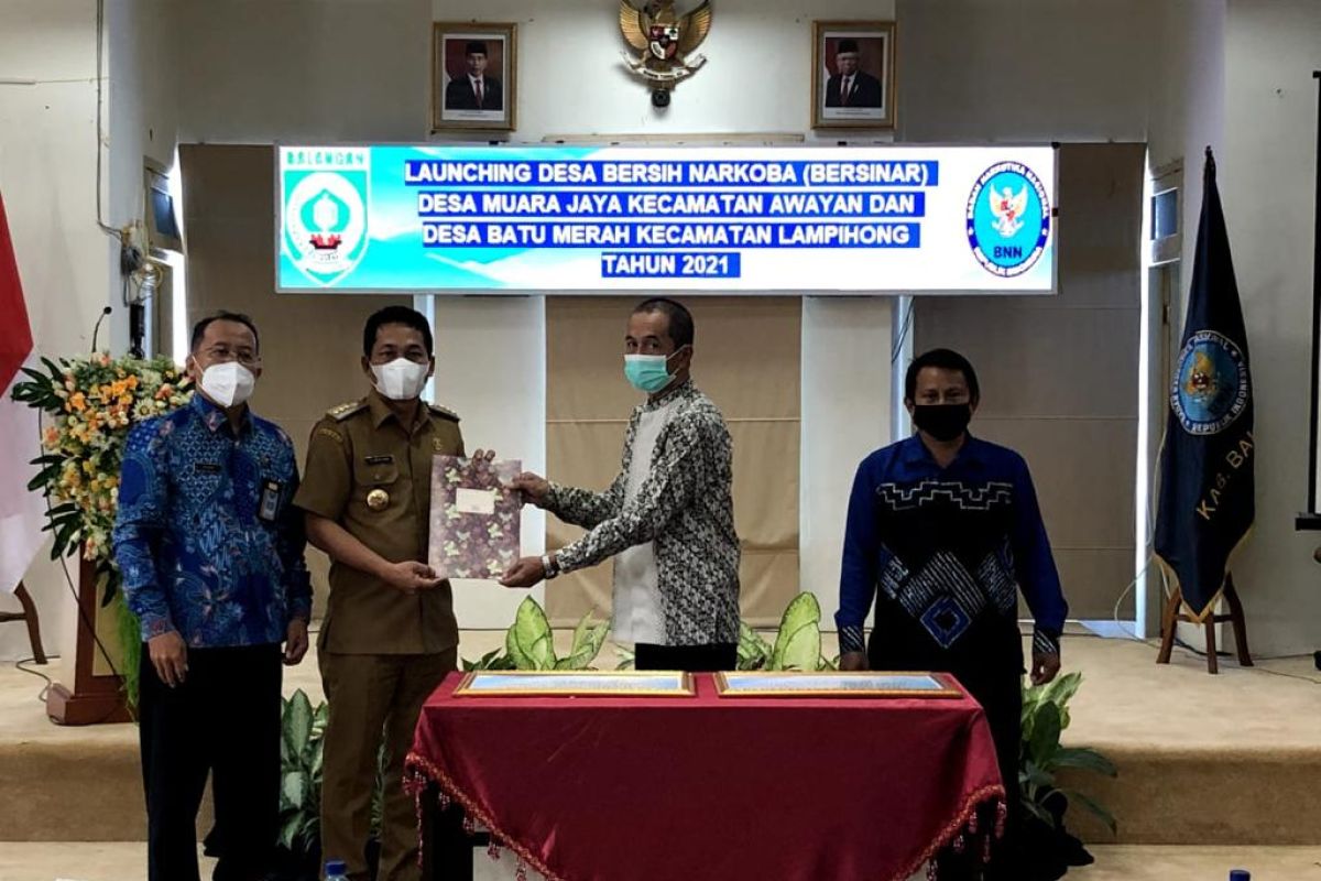 BNNK Balangan 'launching' dua Desa Bersinar