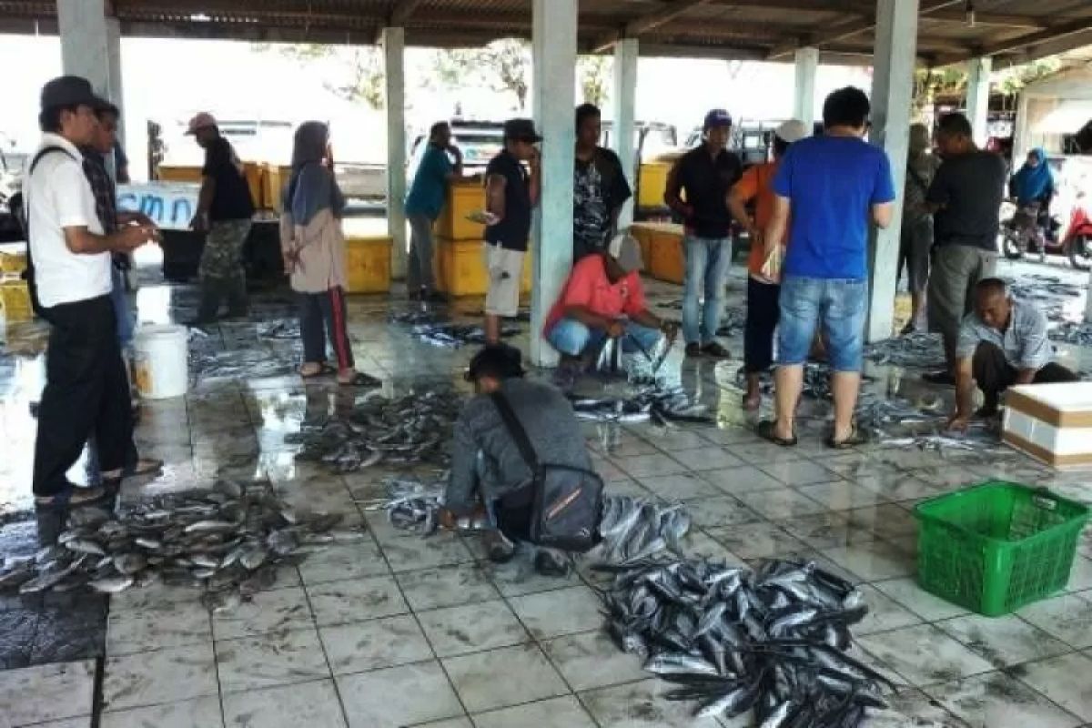 Transaksi pelelangan ikan di Cilacap Juni diprediksi turun