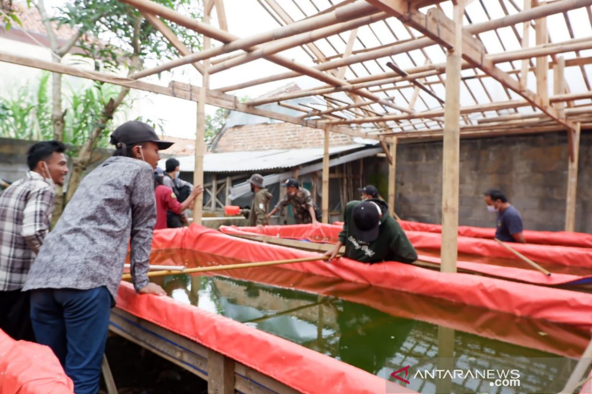 Ciptakan Lapangan Kerja, Pertamina Gelar Pelatihan Budidaya Ikan Lele di Tasikmalaya