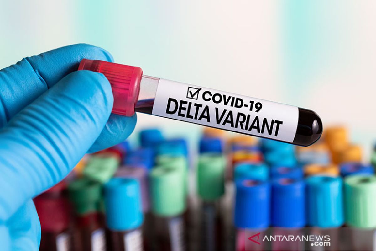 Varian virus COVID Delta mulai menjamur di Italia