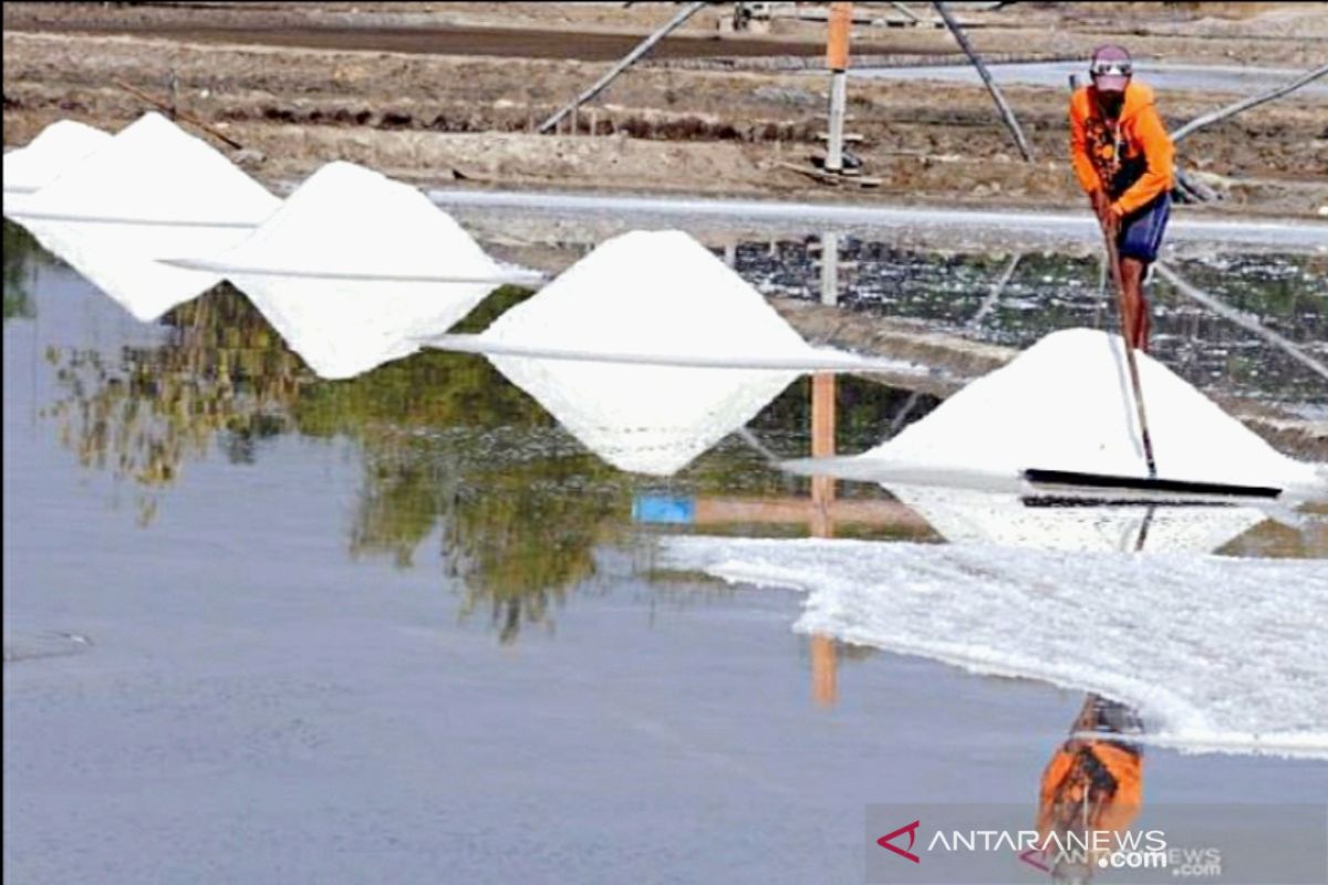 Petambak garam di Karawang khawatirkan cuaca jelang produksi