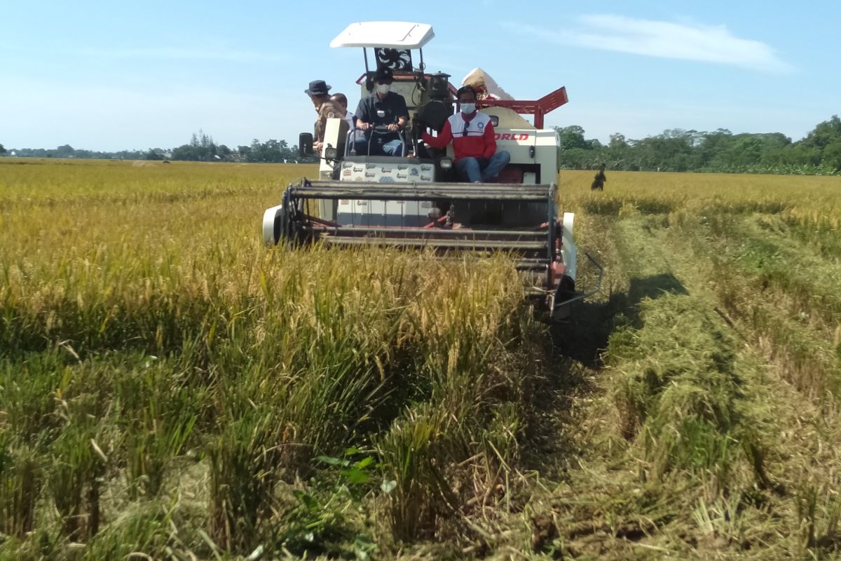 DPRD Jabar desak Bulog percepat penyerapan gabah petani atasi anjloknya harga