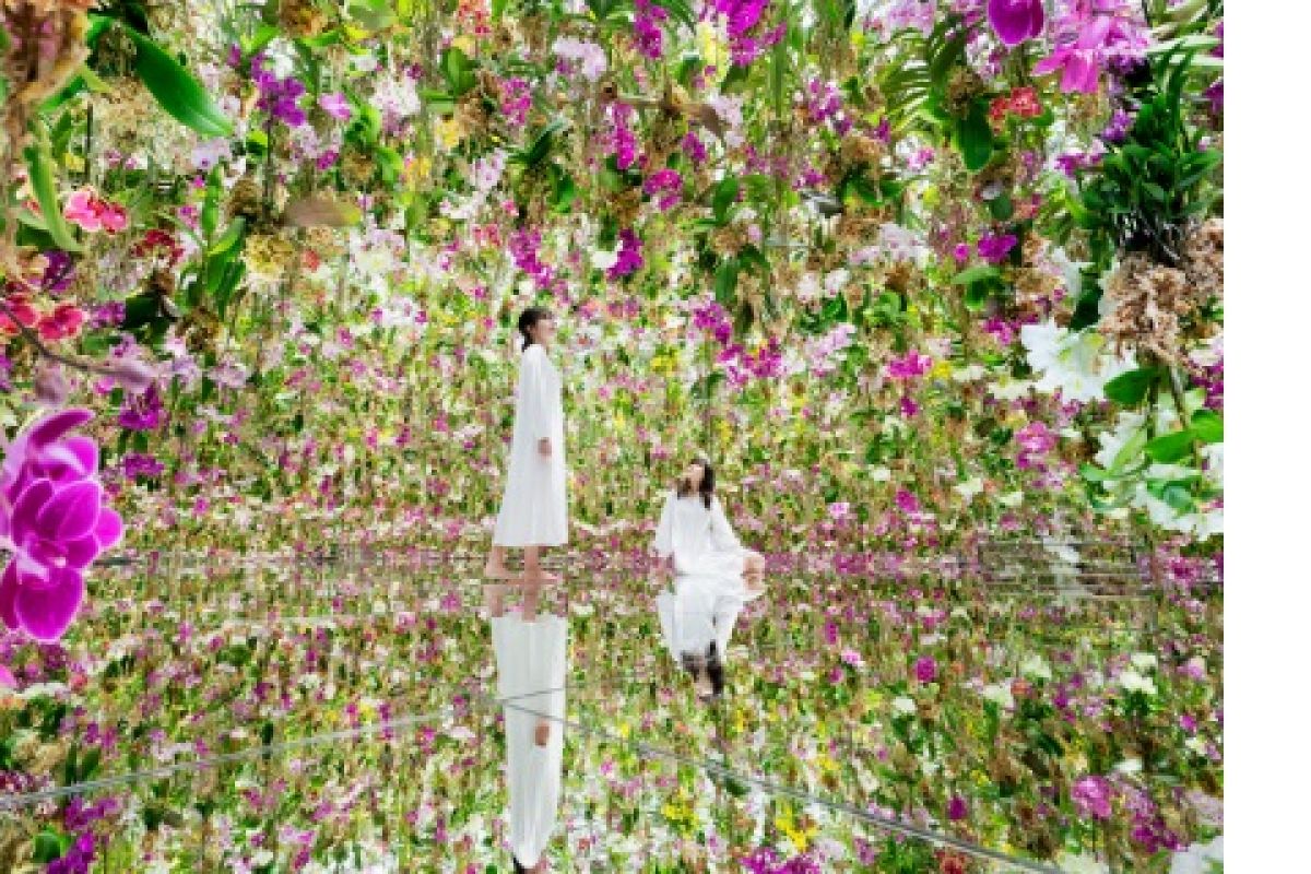 teamLab Planets in Tokyo unveils two new immersive living garden artworks on July 2