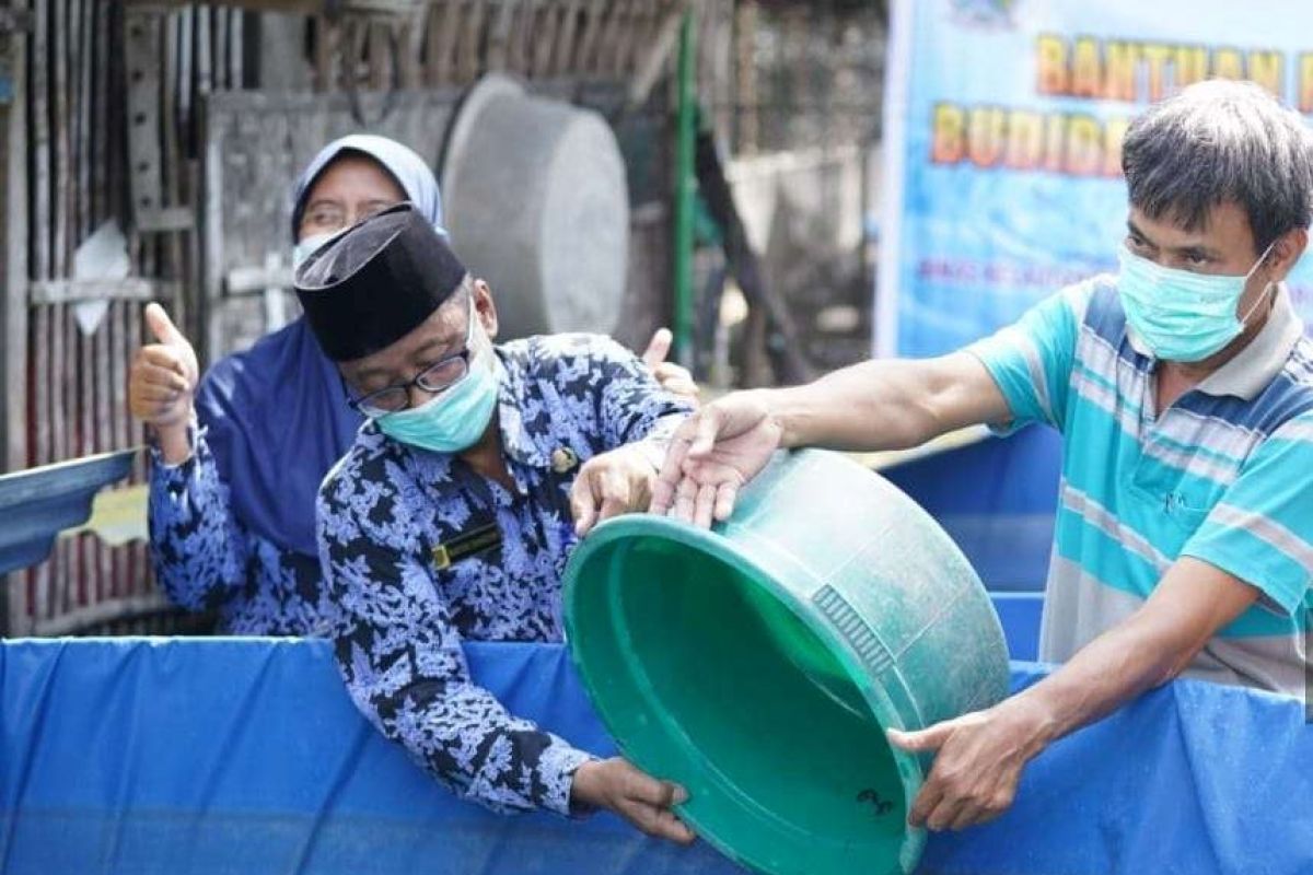 DKPP Kota Madiun tingkatkan produksi ikan