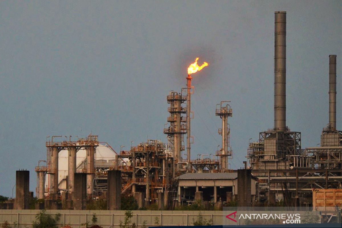 Pemerintah dorong percepatan produksi industri petrokimia