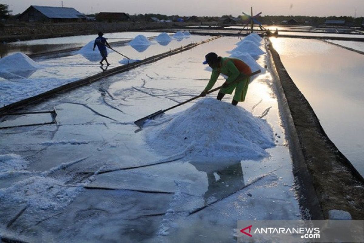 Harga garam di wilayah Karawang stabil jelang puncak produksi