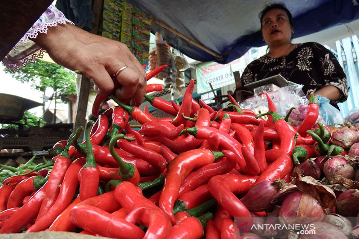 BPS:  Cabai, bawang, dan daging ayam picu deflasi Juni 2021