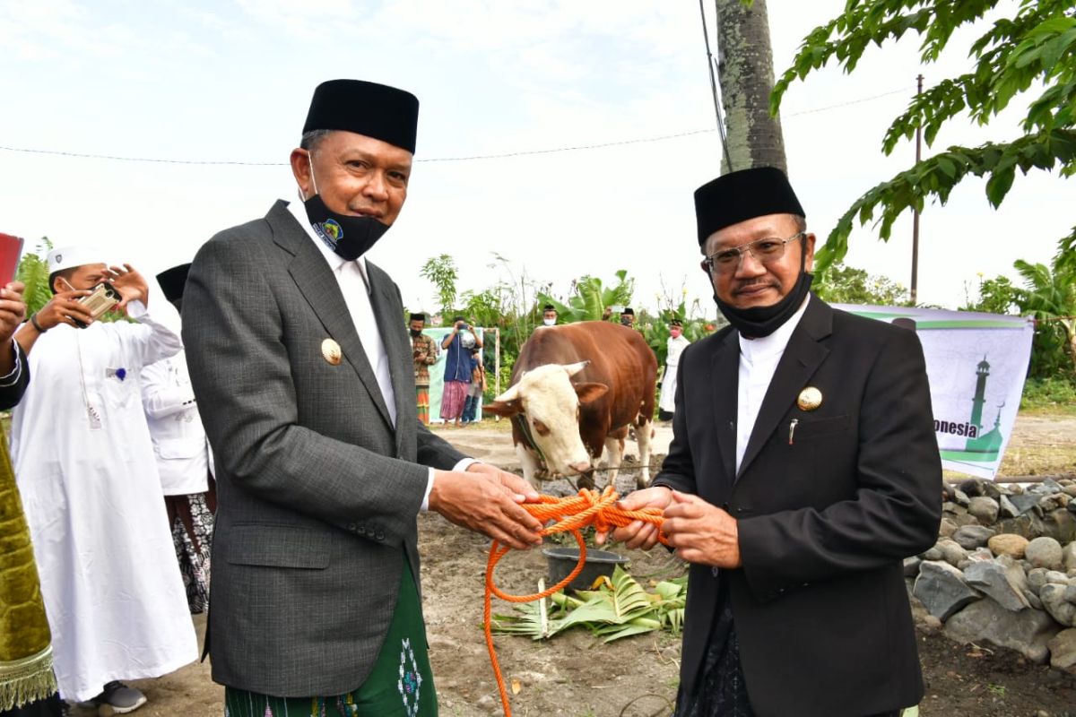 Kementan cari sapi kurban Jokowi di Maros dan Gowa