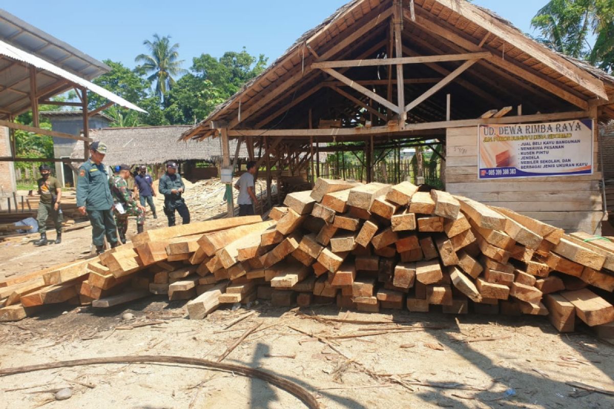 Tim Gakkum KLHK Sulawesi limpahkan berkas perkara kasus pembalakan liar