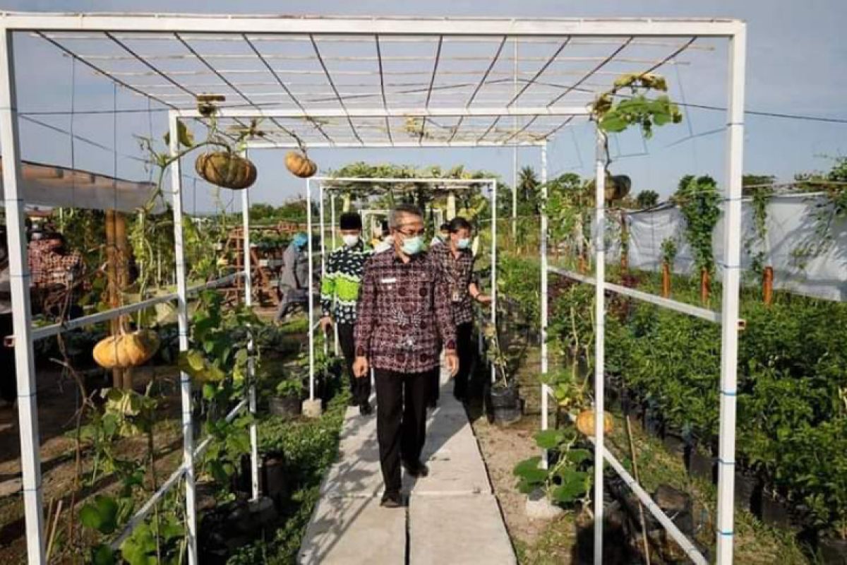 Bupati inginkan Agrofood Bantul latih masyarakat teknologi pertanian