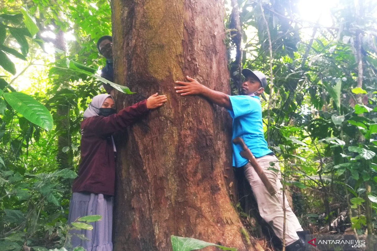 Warga Sotek di Kaltim  usulkan penetapan Taman Kehati