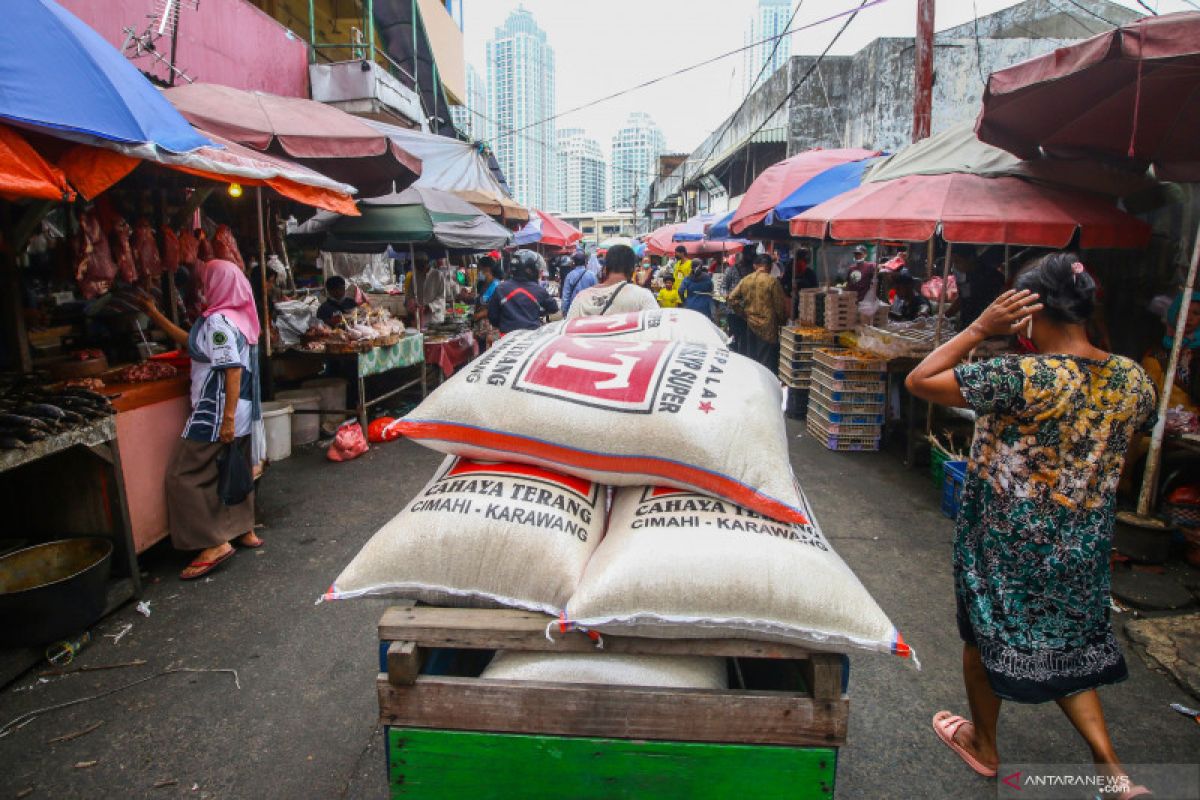 Pengamat: Harga beras di Jakarta stabil berkat bansos dan panen