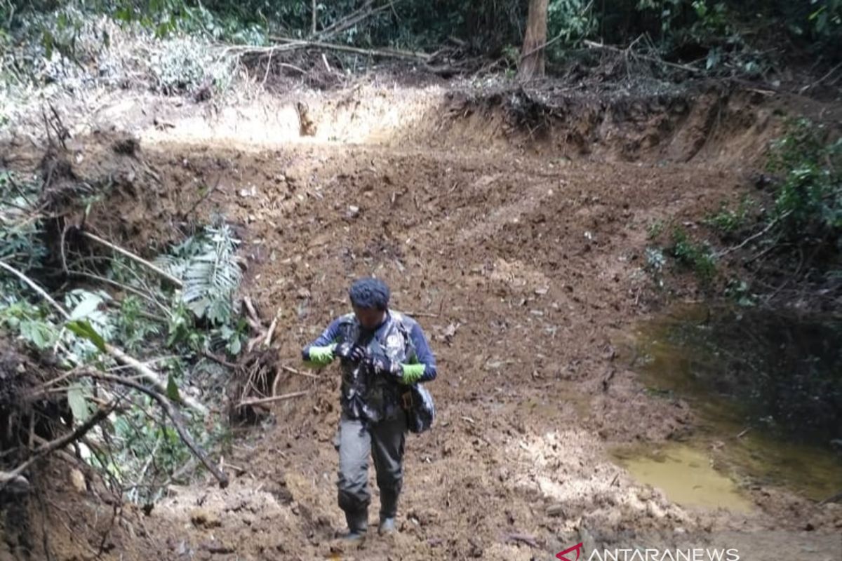 Akibat pembangunan jalan perkebunan, 4.172 meter lahan Suaka Margasatwa Malampa rusak