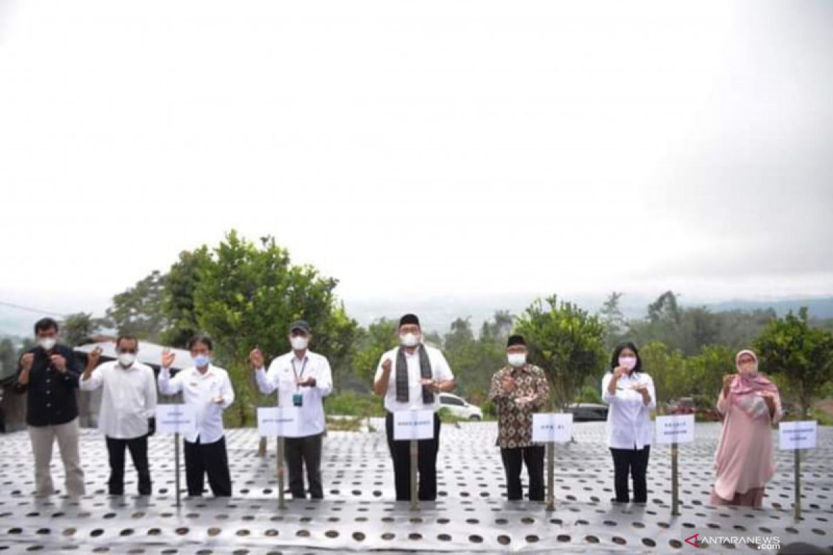 Dua nagari di Kabupaten Tanah Datar ini dipilih jadi lokasi riset dan pengembangan inovatif Kementan