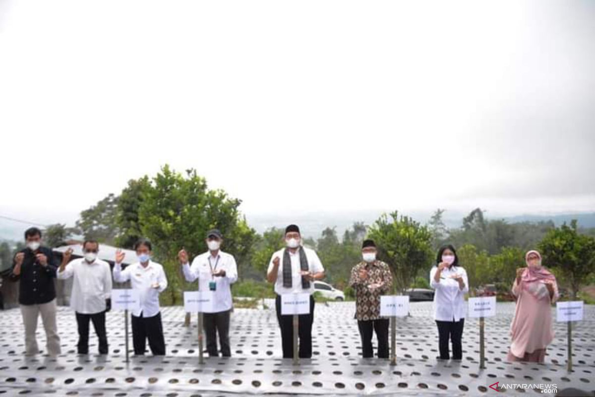 Dua nagariTanah Datar terpilih lokasi riset-pengembangan Kementan