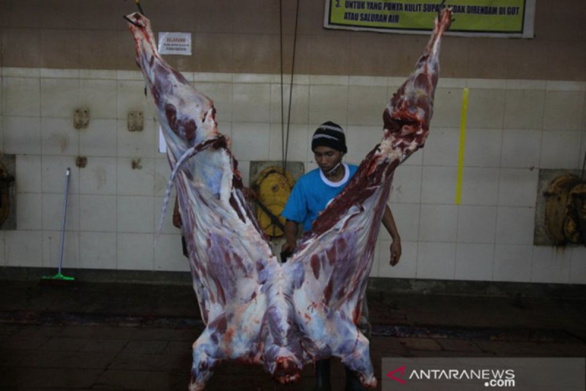 RPH Surabaya siapkan 80 tukang jagal untuk penyembelihan hewan kurban