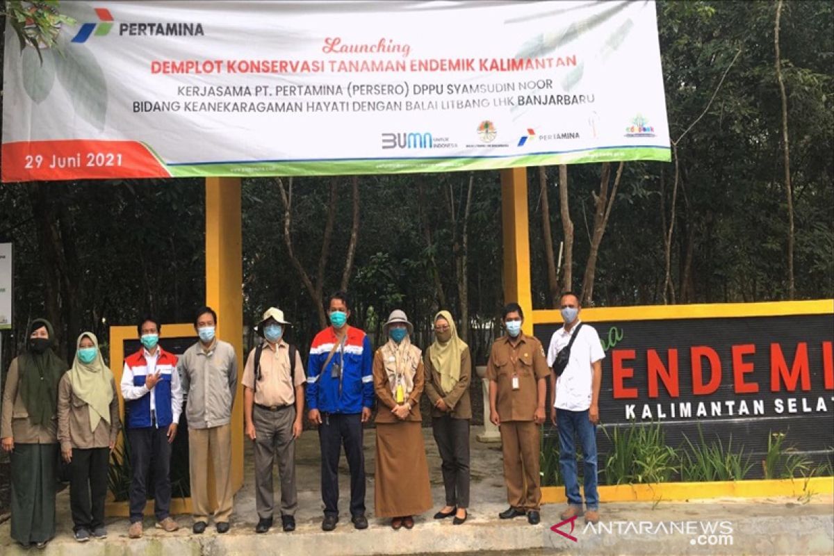 Pertamina dukung pelestarian tanaman endemik Kalimantan