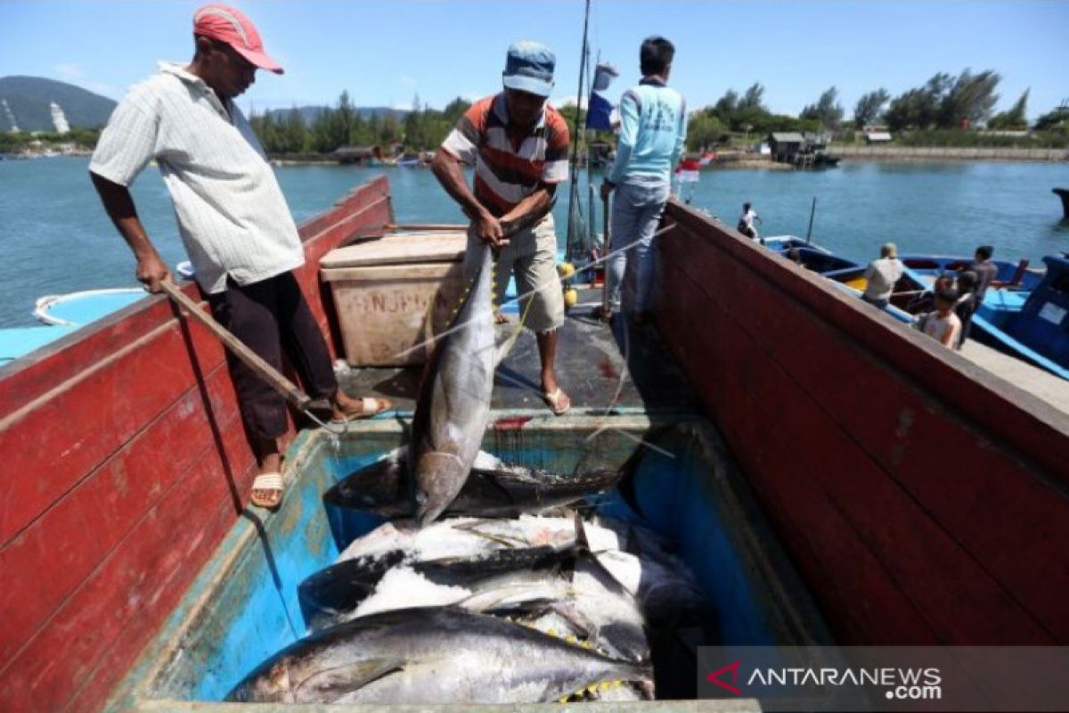 Ministry develops safe, energy-saving fish scaler for industry - ANTARA News