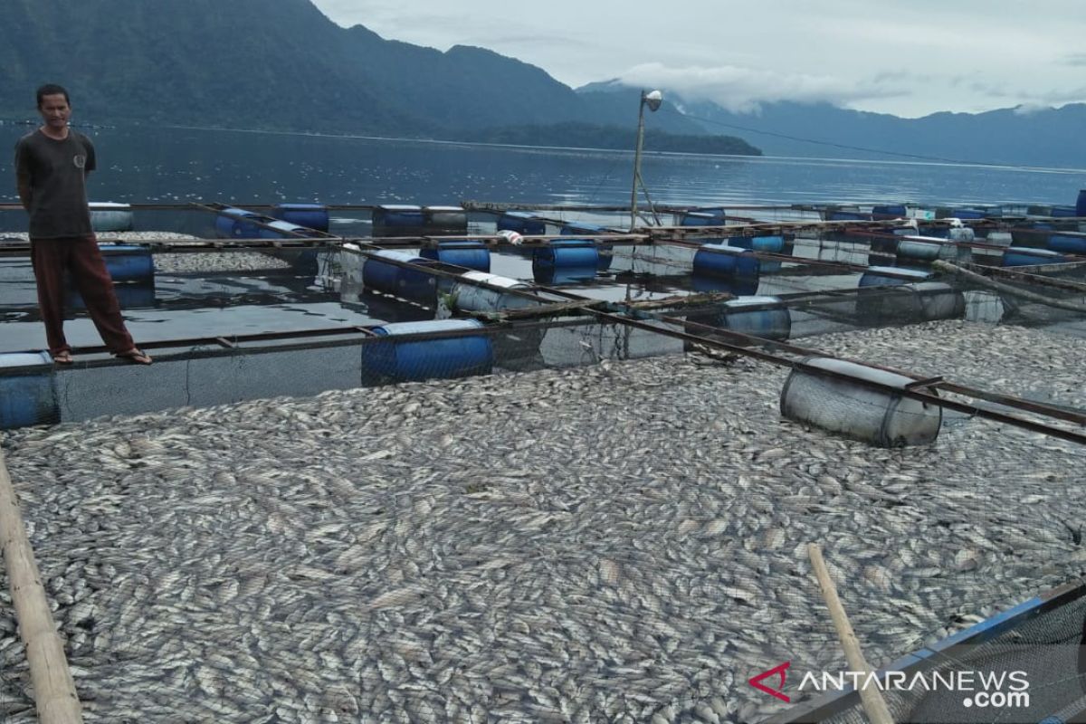 Pendataan terbaru ada 17.417 petak keramba jaring apung di Danau Maninjau