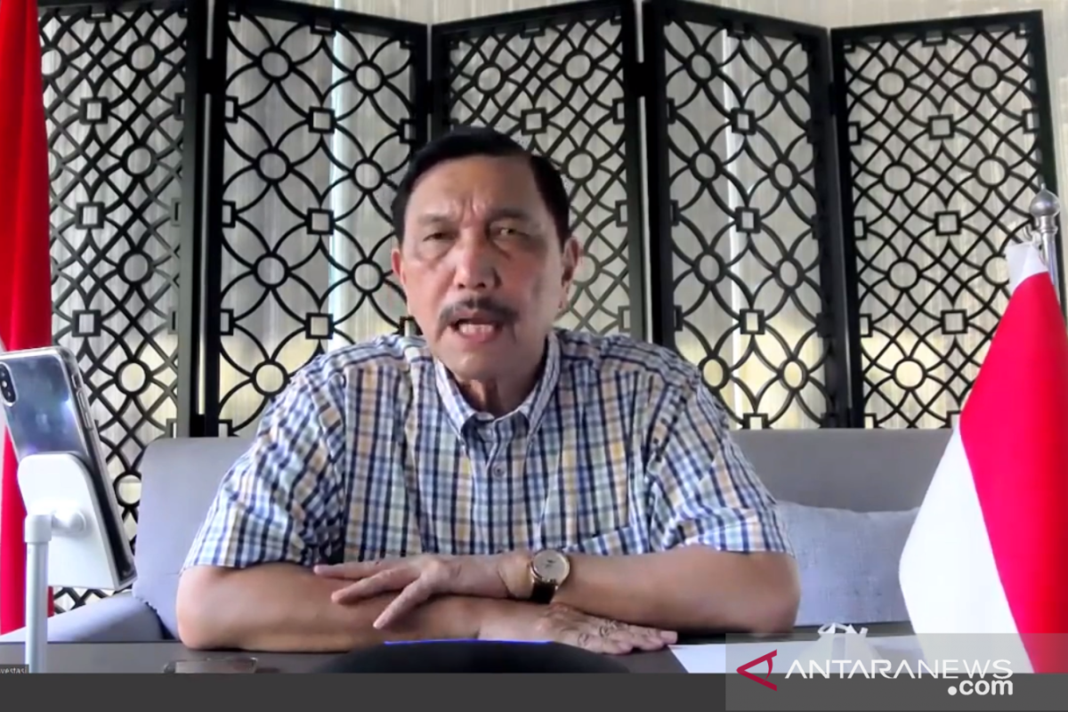 Luhut Binsar prediksi masa kritis COVID-19 hingga dua minggu ke depan