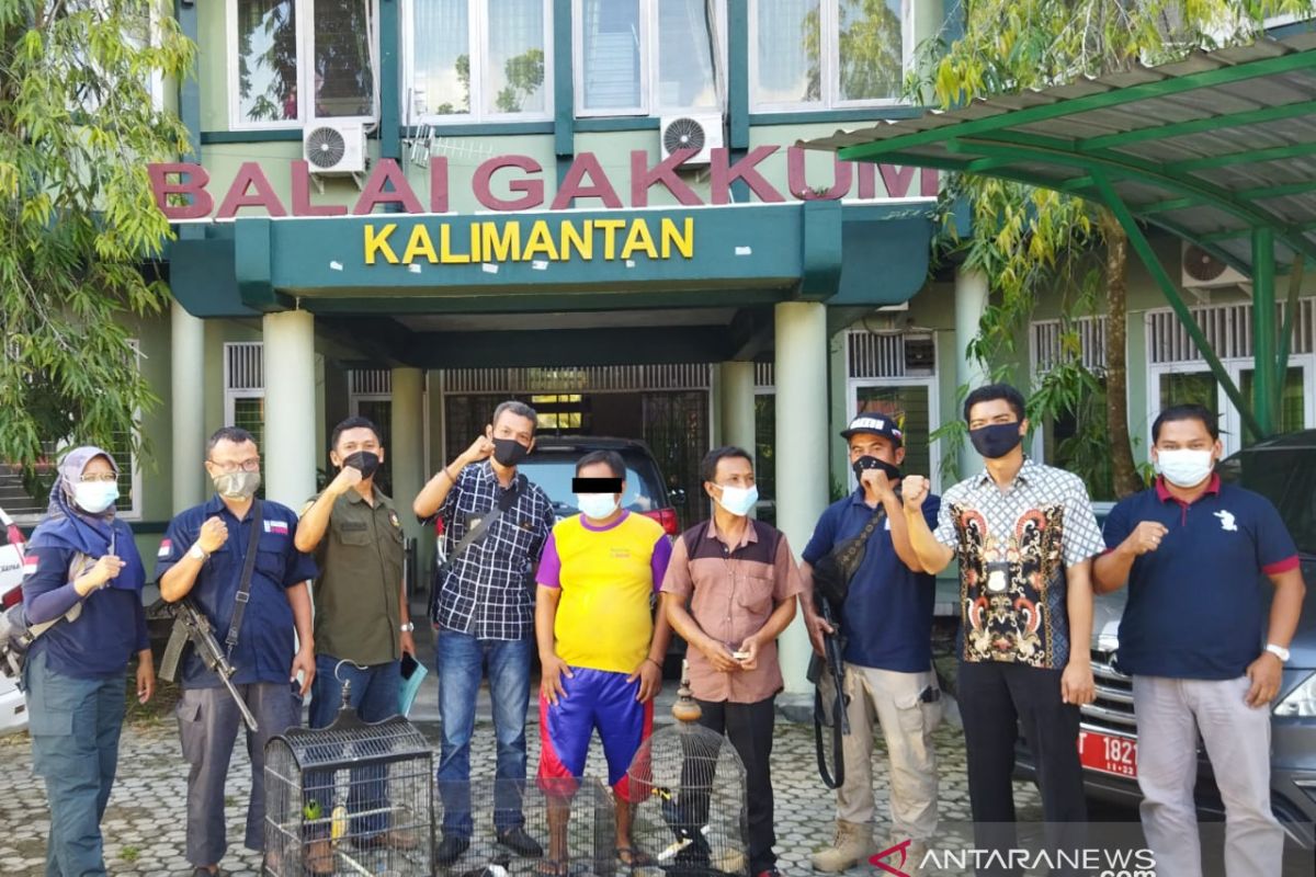 KLHK selamatkan 597 burung dilindungi  dari perdagangan ilegal