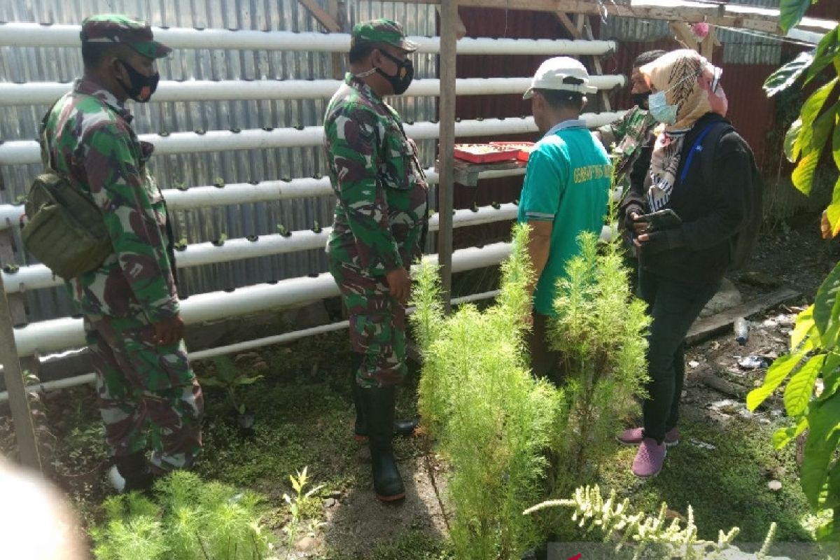 TNI ajarkan kelompok tani di Mimika tanam sayuran secara hidroponik