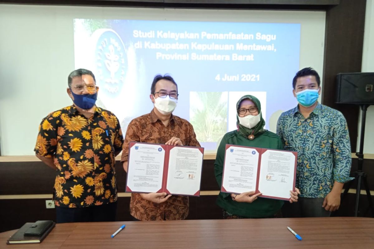 IPB University-Kabupaten Mentawai kerja sama pemanfaatan sagu
