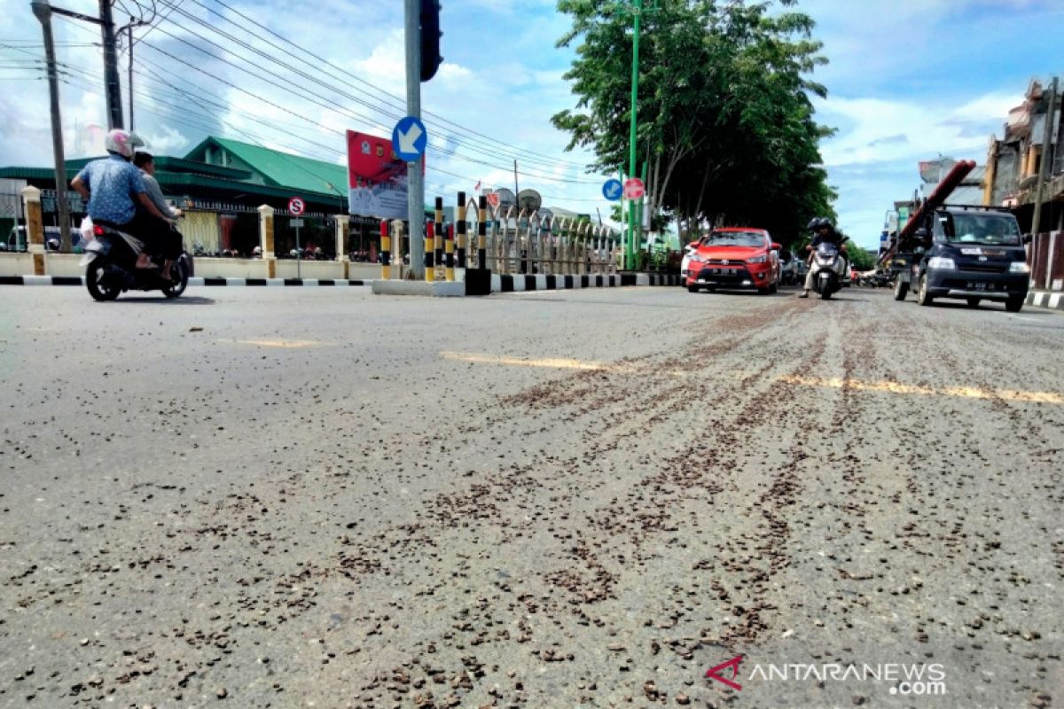 Tumpahan cangkang sawit di jalan raya Meulaboh capai tiga kilometer, warga alami kecelakaan
