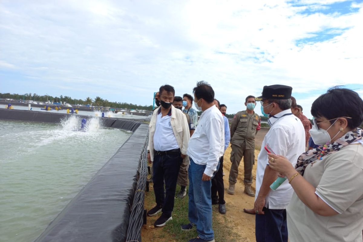 Gubernur ingin produksi udang vaname di Parimo  capai 200 ribu ton