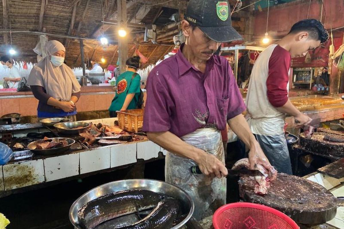 Harga ikan gabus segar di pasar  tradisional Palembang naik