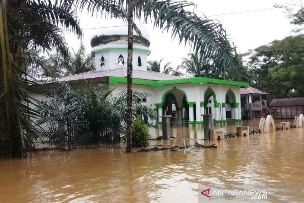 Ratusan rumah warga dan satu masjid di Aceh Barat terendam banjir