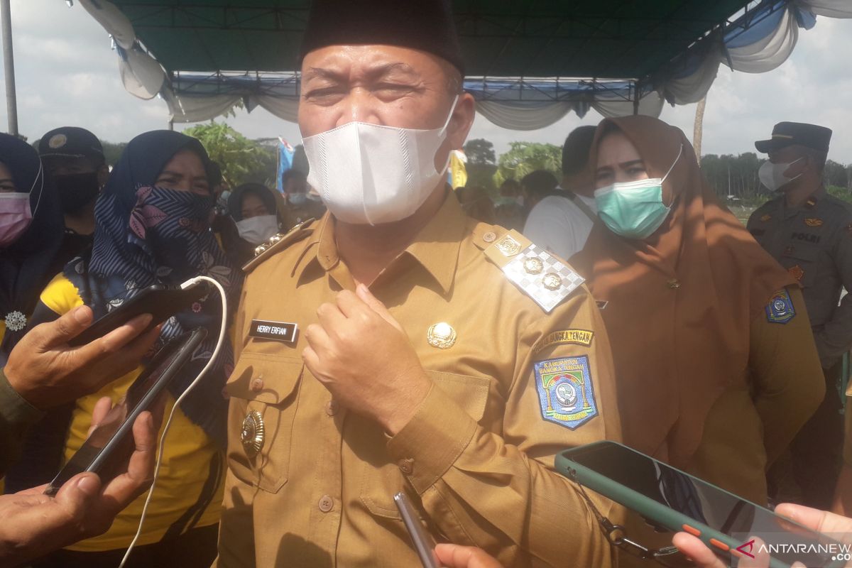 Pemkab Bangka Tengah dorong peningkatan ekstensifikasi lahan padi