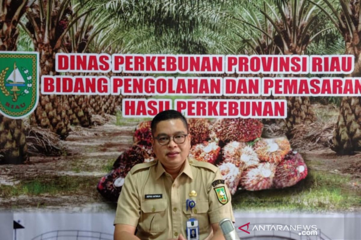Harga sawit di Riau naik Rp182,96/kg