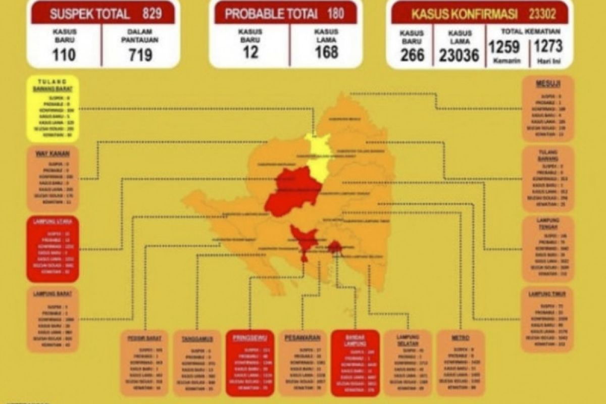 Pemprov Lampung perketat pengawasan tiga daerah berzona merah