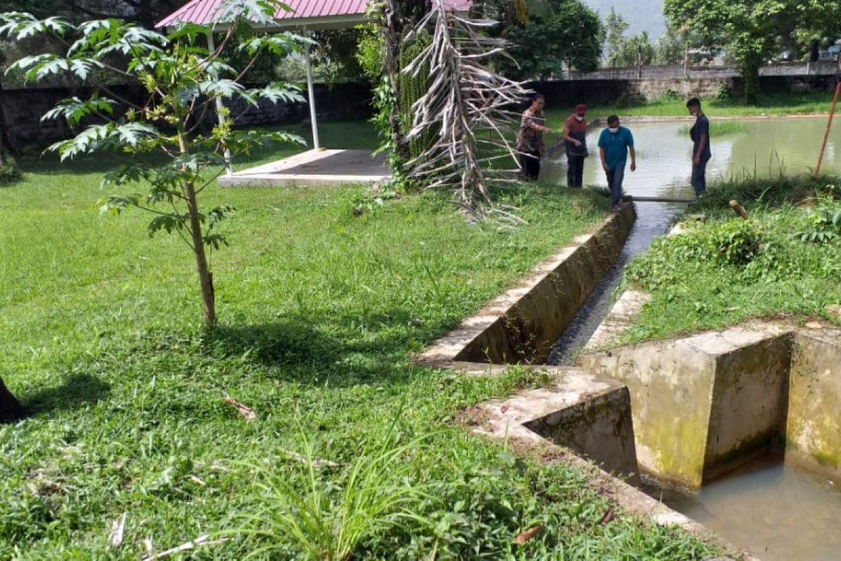 Semen Padang dapat 2 hak paten dari KemenkumHAM